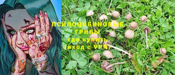a pvp Шадринск