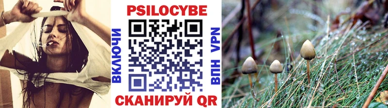 Купить  Пыталово  Галлюциногенные грибы ЛСД 